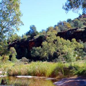 Palm Valley<br> 